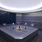 Hotel Park Dedeman 5*