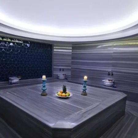 酒店 Park Dedeman 5*