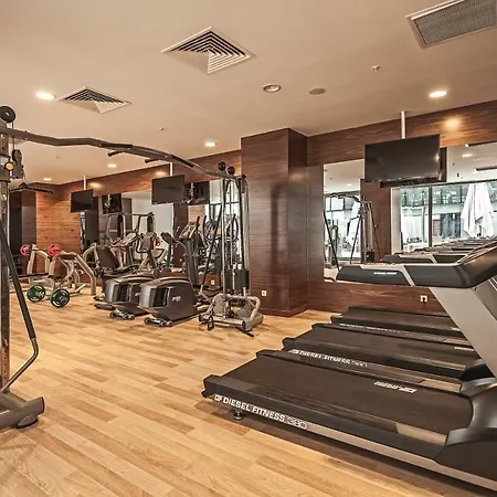 Park Dedeman 酒店 5*