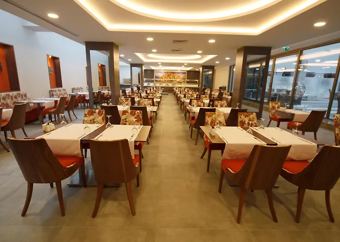 Park Dedeman 酒店 埃斯基谢希尔