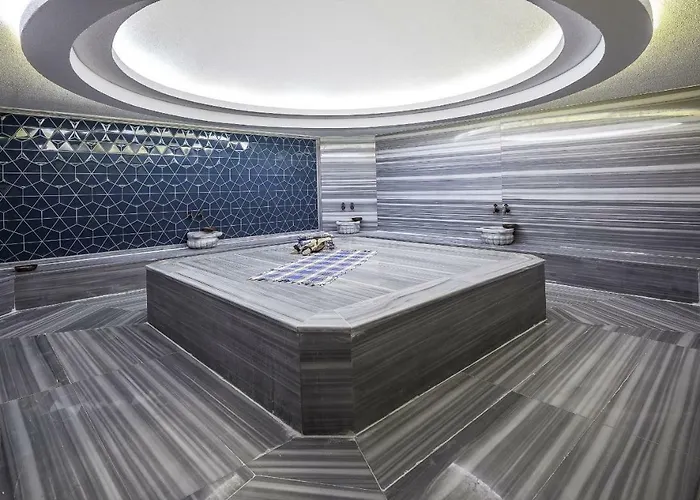 Park Dedeman 호텔 에스키셰히르